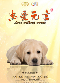 午夜成年